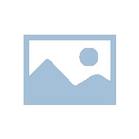 雷军表示新一年的战略目标就是5G+AI+物联网